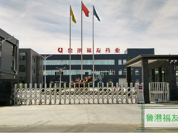 魯港福友電動(dòng)門案例