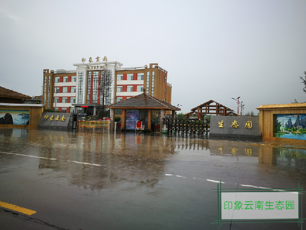印象云南生態(tài)園電動(dòng)門案例